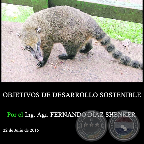 OBJETIVOS DE DESARROLLO SOSTENIBLE - Ing. Agr. FERNANDO DÍAZ SHENKER - 22 de Julio de 2015